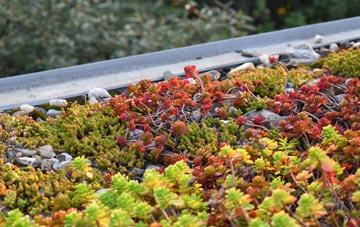 the cost of Diggle green roof installation