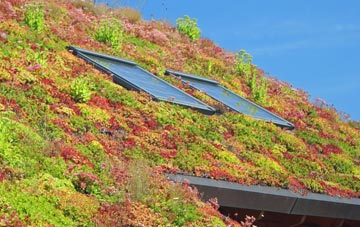 Diggle living roof systems